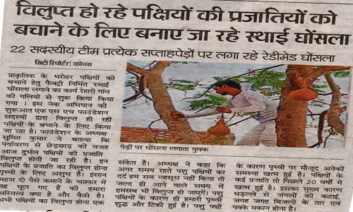 Permanent Nests Being Built to Save Endangered Bird Species